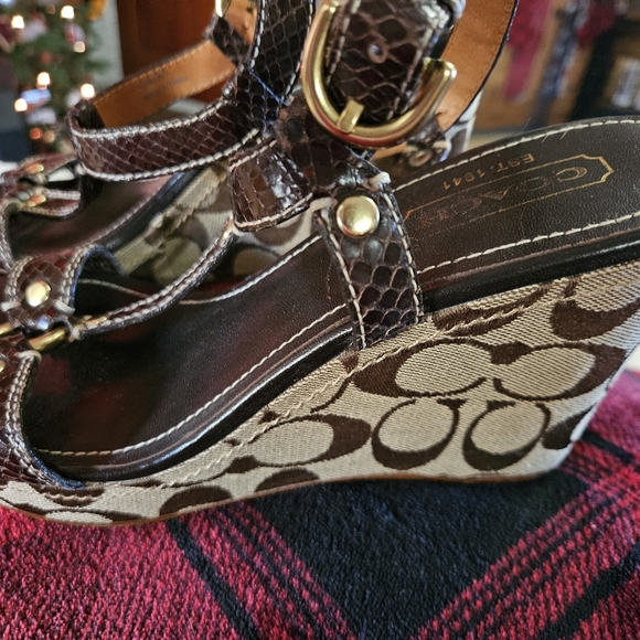 Coach - Picture 2 of 3